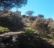 argelesreduit0002